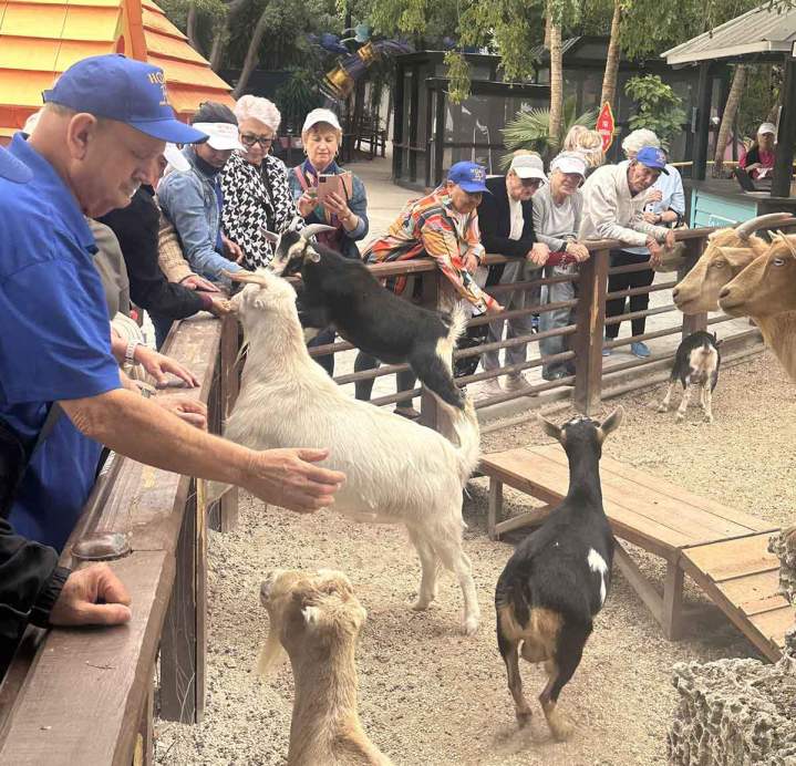 Elderly Recreational Activities Hialeah